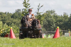 dressuur en vaardigheid  nienoord 10-8-2015  joshua keller-0541        